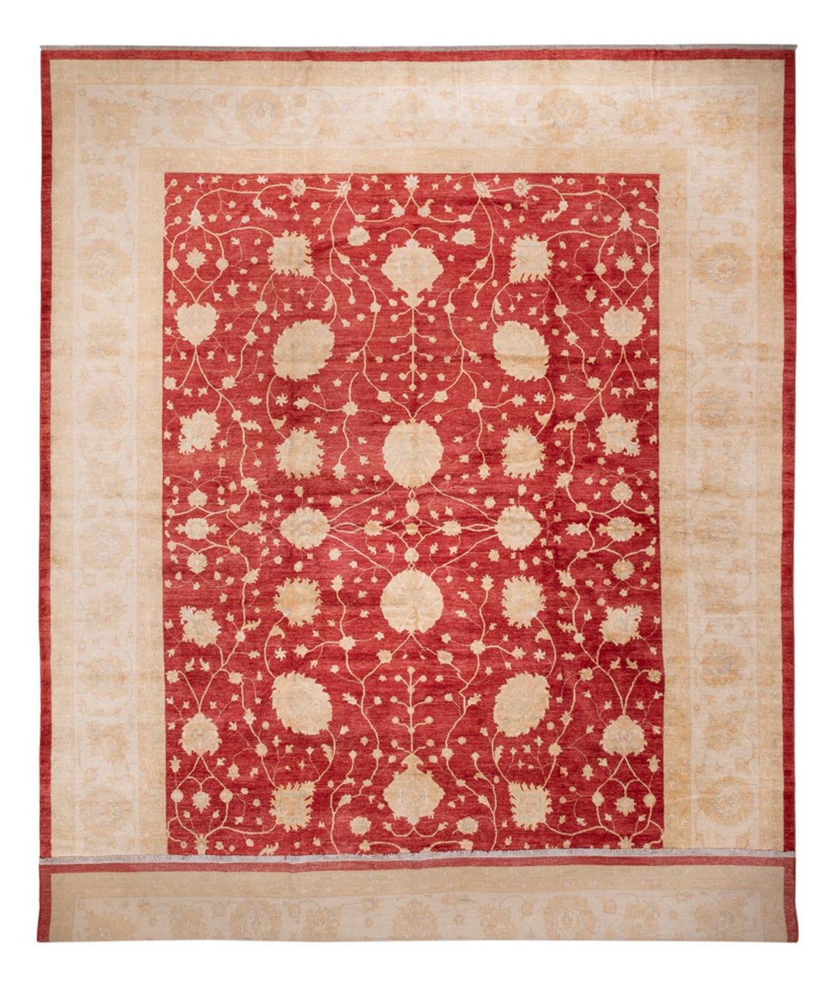 Ziegler tapijt - 521 x 400 cm - beige