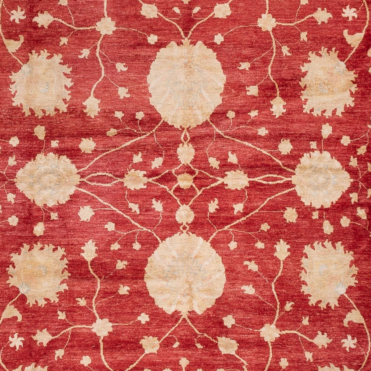 Ziegler tapijt - 521 x 400 cm - beige