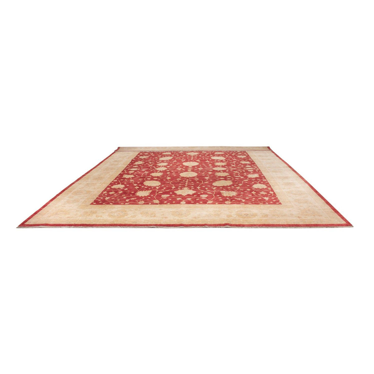 Ziegler tapijt - 521 x 400 cm - beige