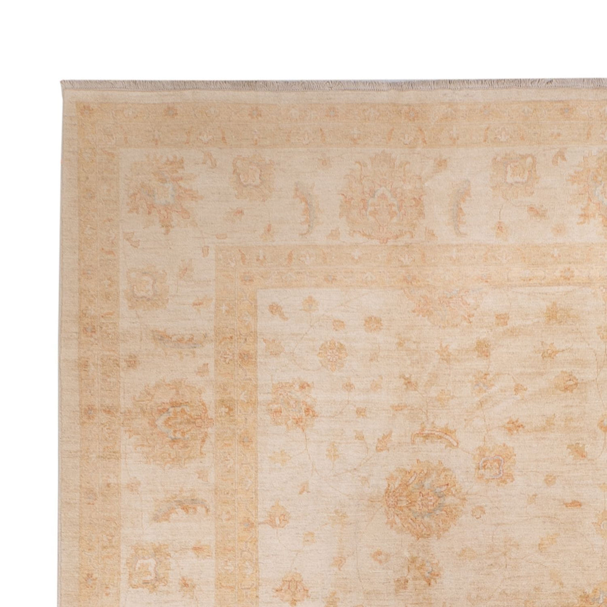 Ziegler tapijt - 541 x 348 cm - beige