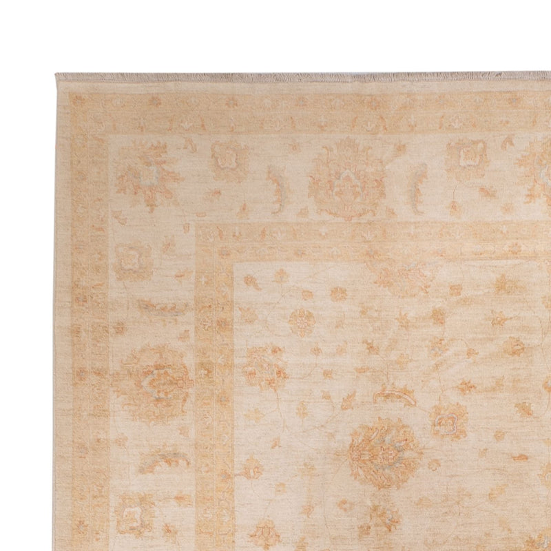 Ziegler tapijt - 541 x 348 cm - beige