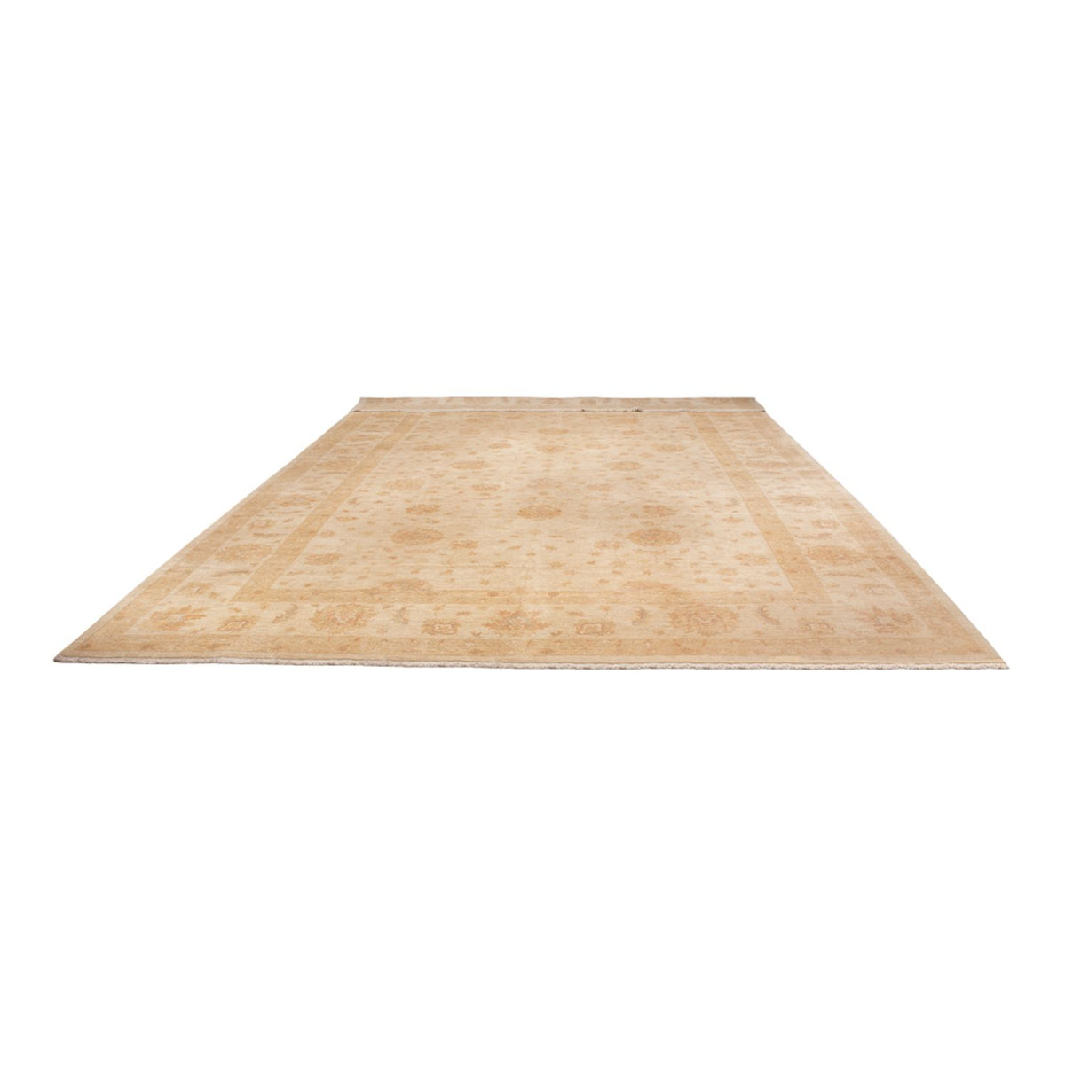 Ziegler tapijt - 541 x 348 cm - beige