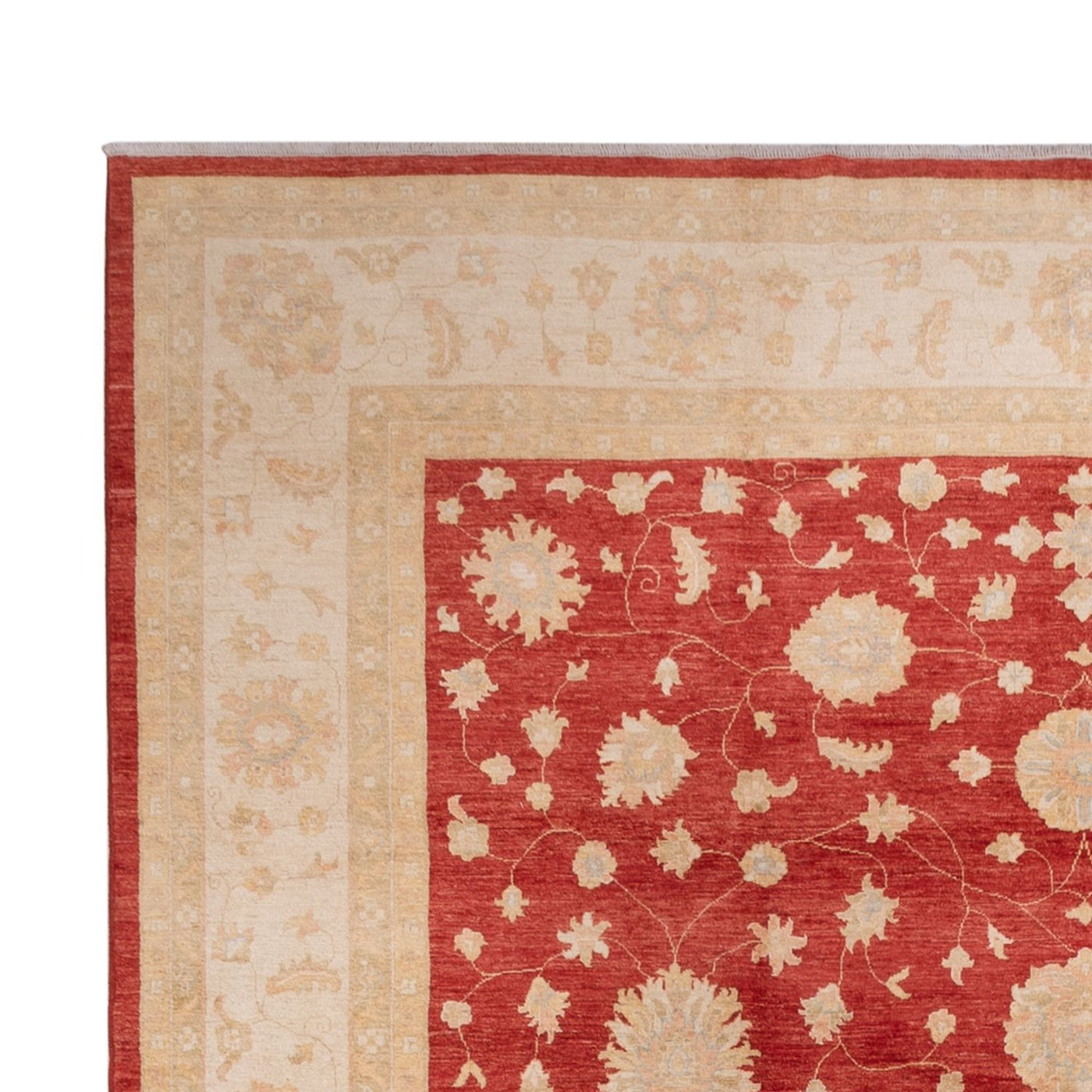 Ziegler tapijt 496x362cm - Oosters Tapijt