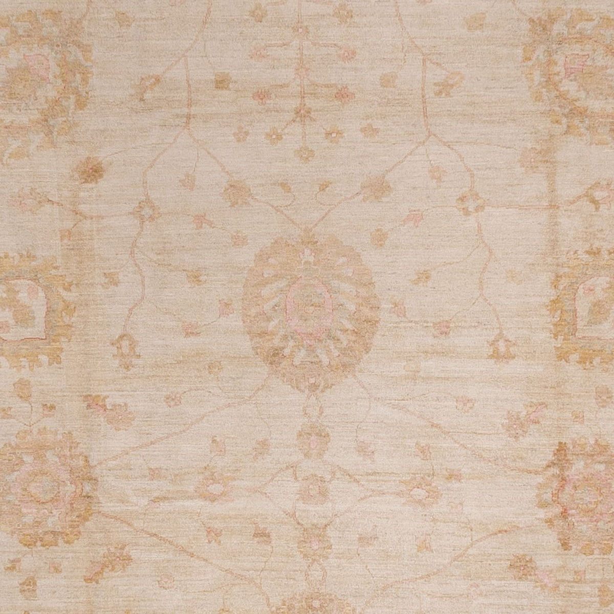 Ziegler tapijt - 543 x 350 cm - beige