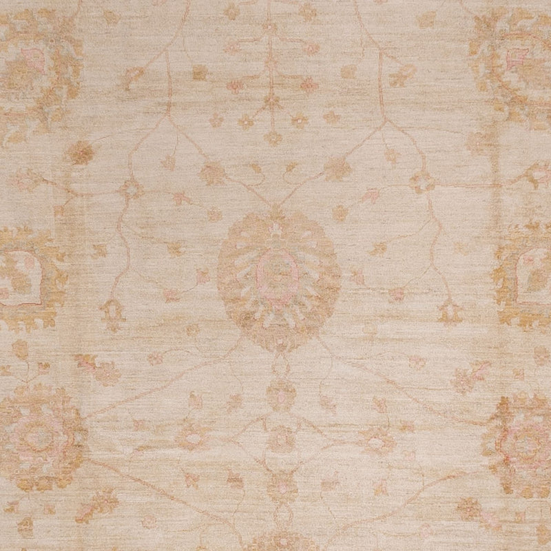 Ziegler tapijt - 543 x 350 cm - beige