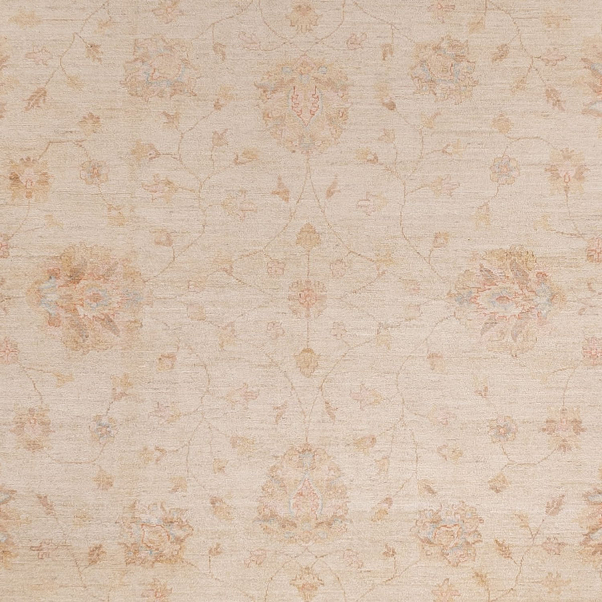 Ziegler tapijt - 487 x 301 cm - beige