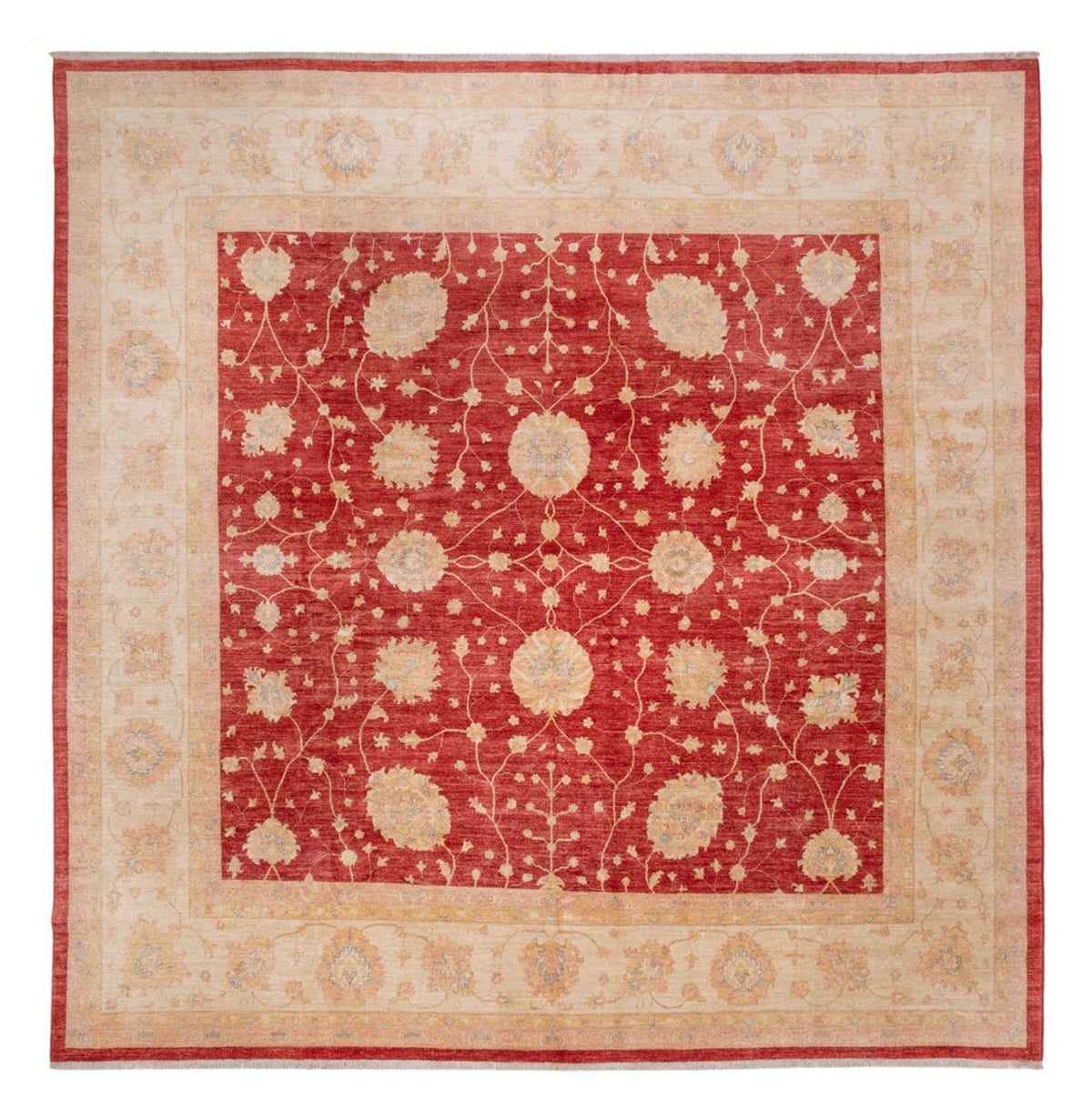 Ziegler tapijt vierkant  - 392 x 403 cm - rood