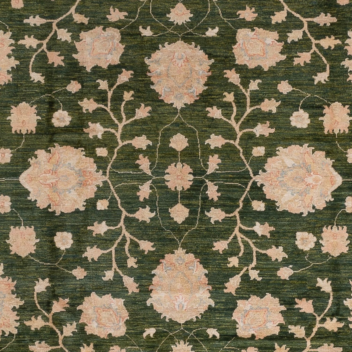 Ziegler tapijt - 440 x 308 cm - groen