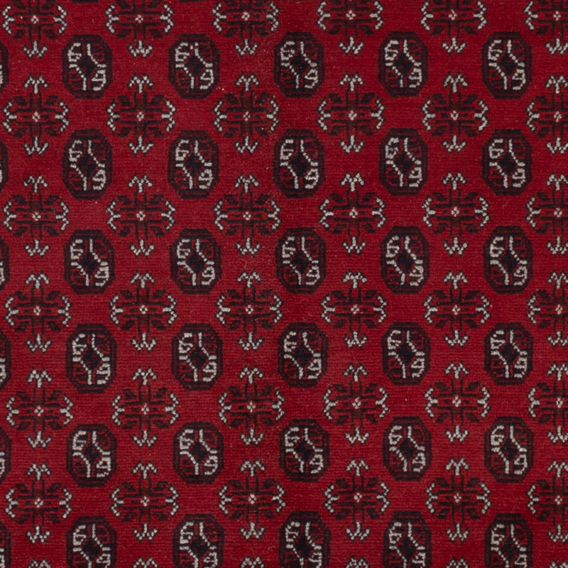 Afghan Teppich - Filpa - 302 x 245 cm - rot