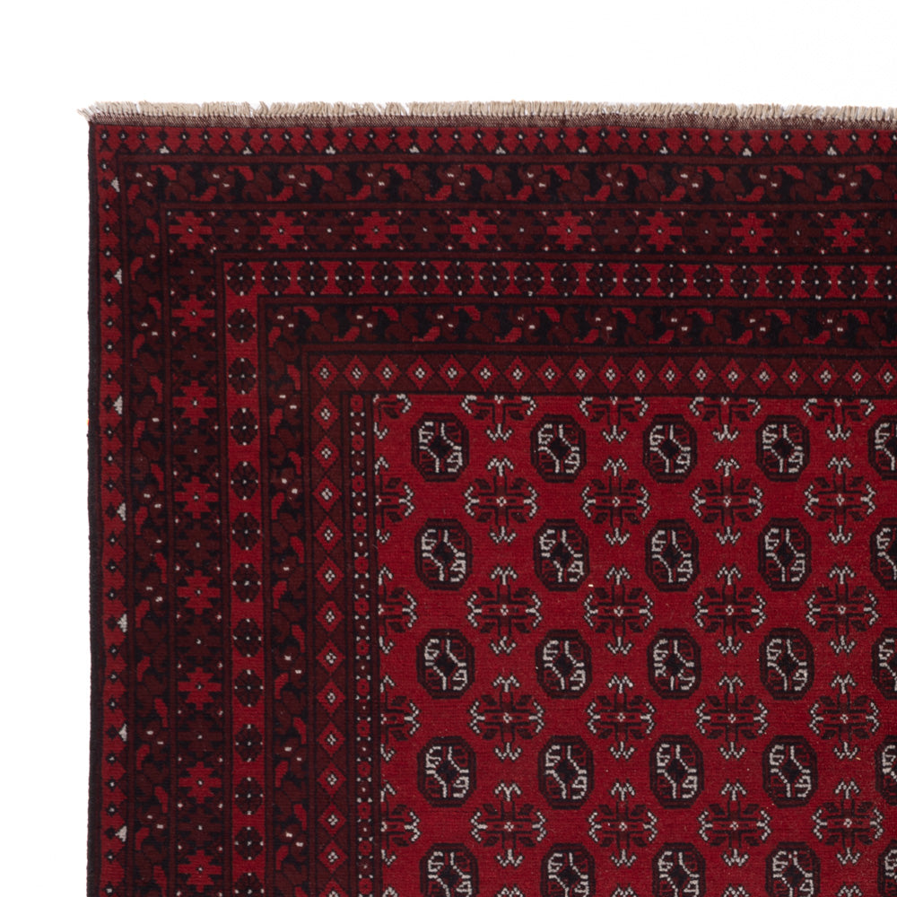 Akhche Tapijt 302x245cm - Oosters Tapijt