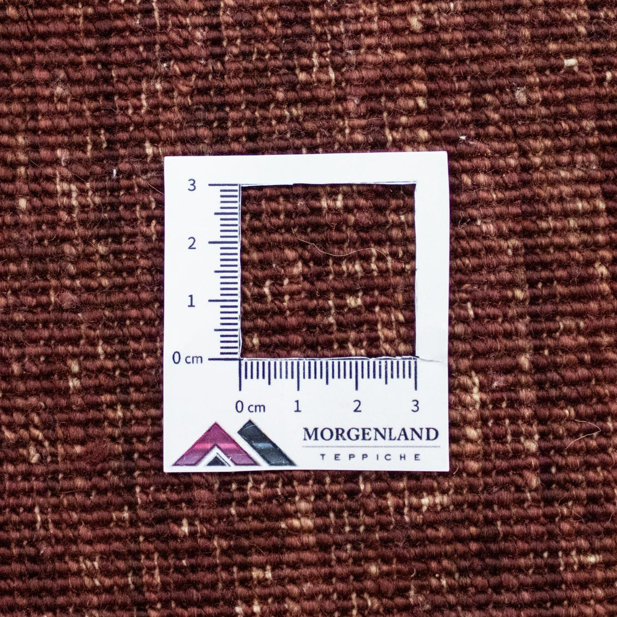 Ziegler tapijt - 237 x 172 cm - gekleurd