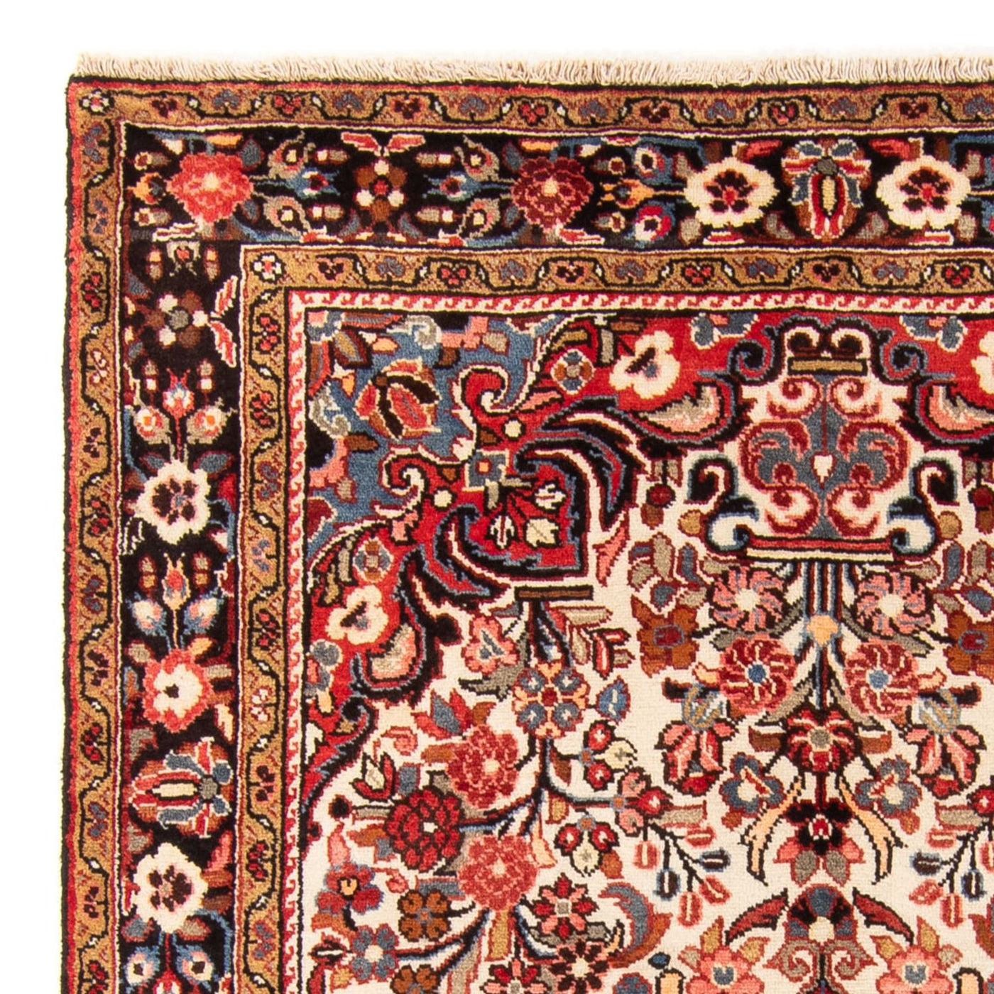 Borchalou Tapijt 244x154cm - Perzisch tapijt