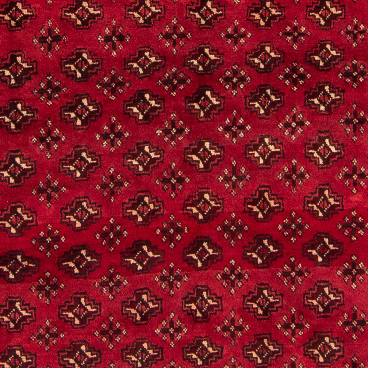 Turkaman tapijt - 239 x 130 cm - rood