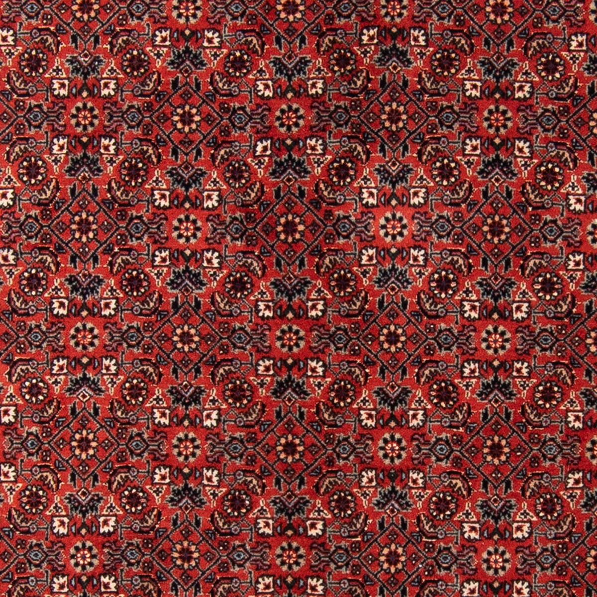 Loper Perzisch tapijt - Bijar - Koninklijk - 205 x 102 cm - rood
