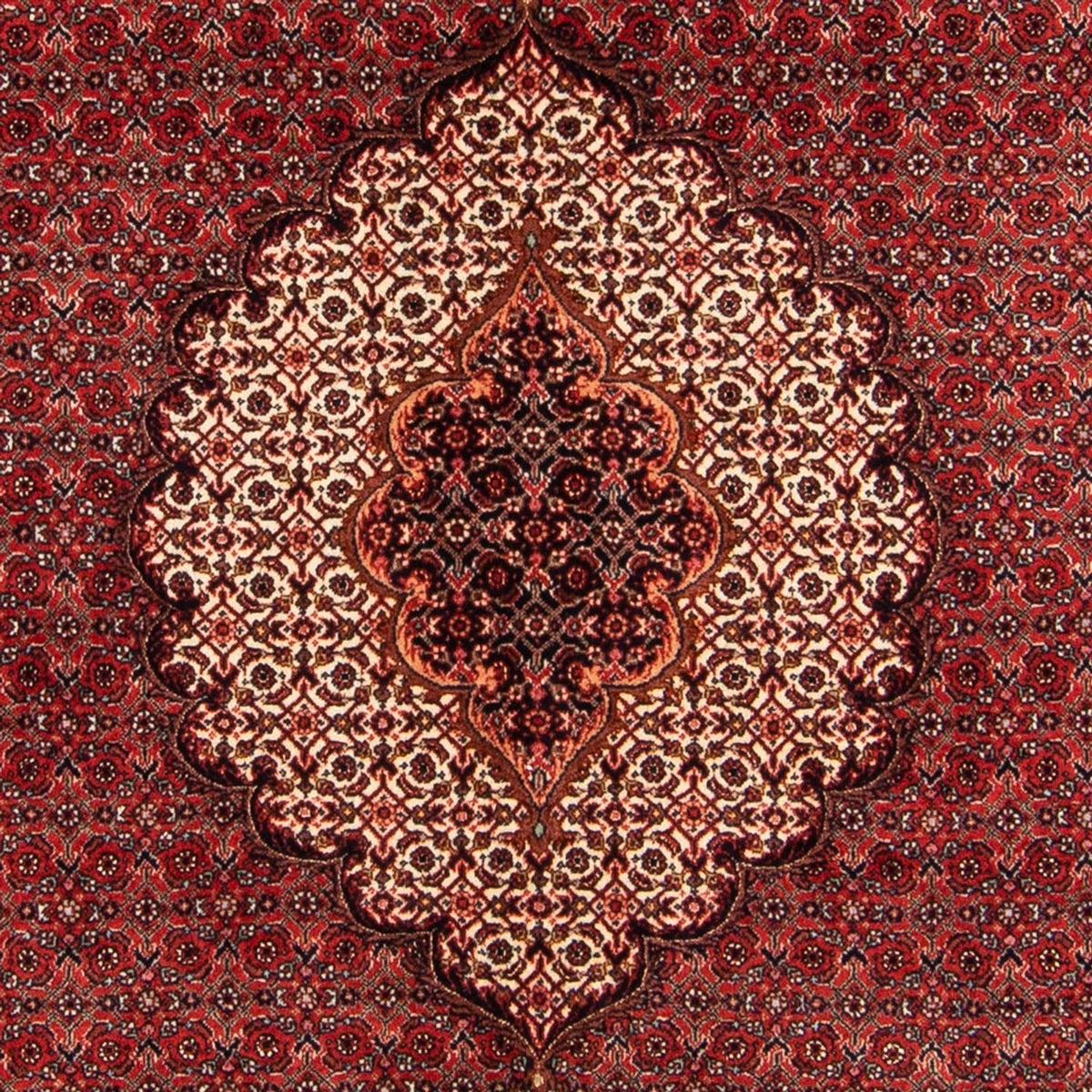 Perzisch tapijt - Bijar - Koninklijk - 209 x 153 cm - rood