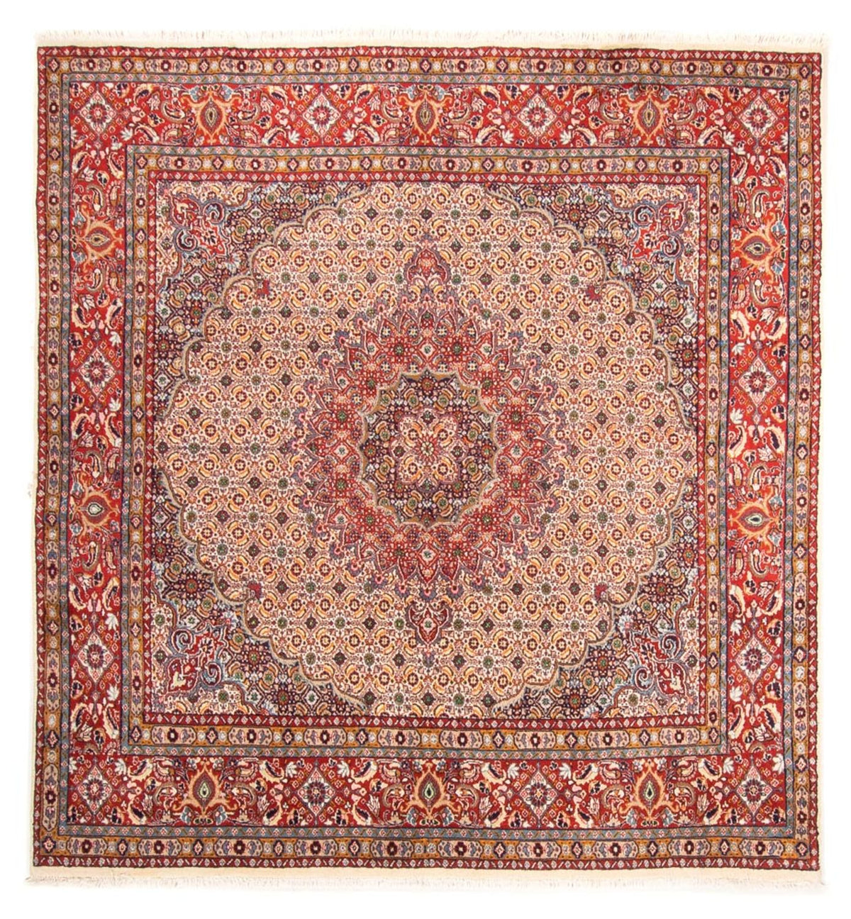 Perzisch tapijt - Klassiek vierkant  - 198 x 193 cm - beige