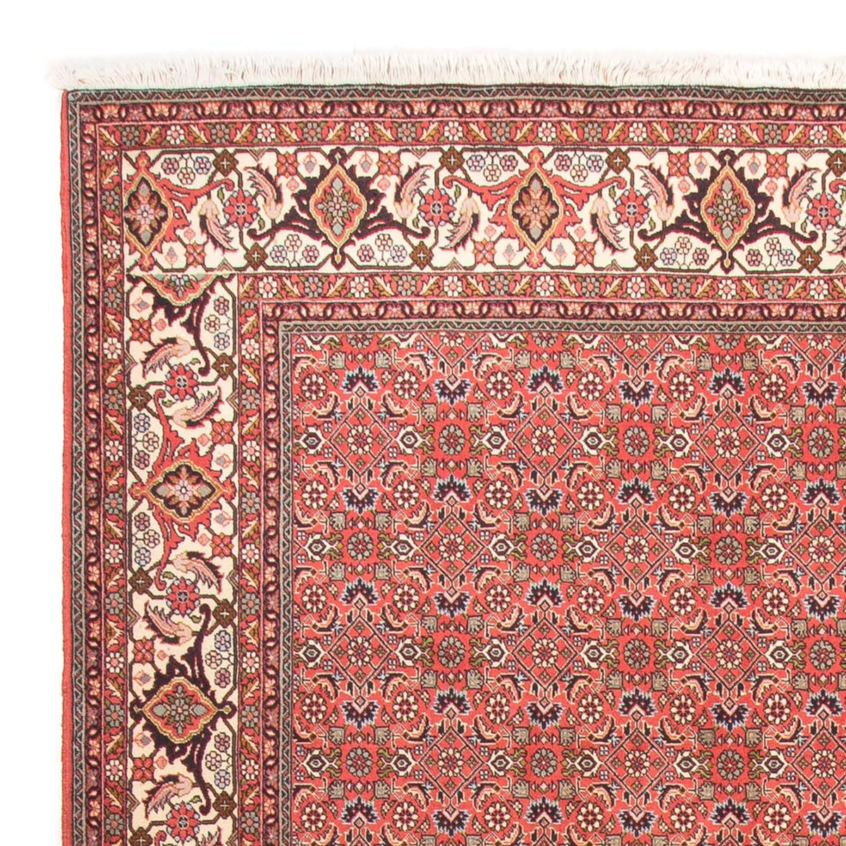 Perzisch tapijt - Bijar - Koninklijk - 300 x 198 cm - rood