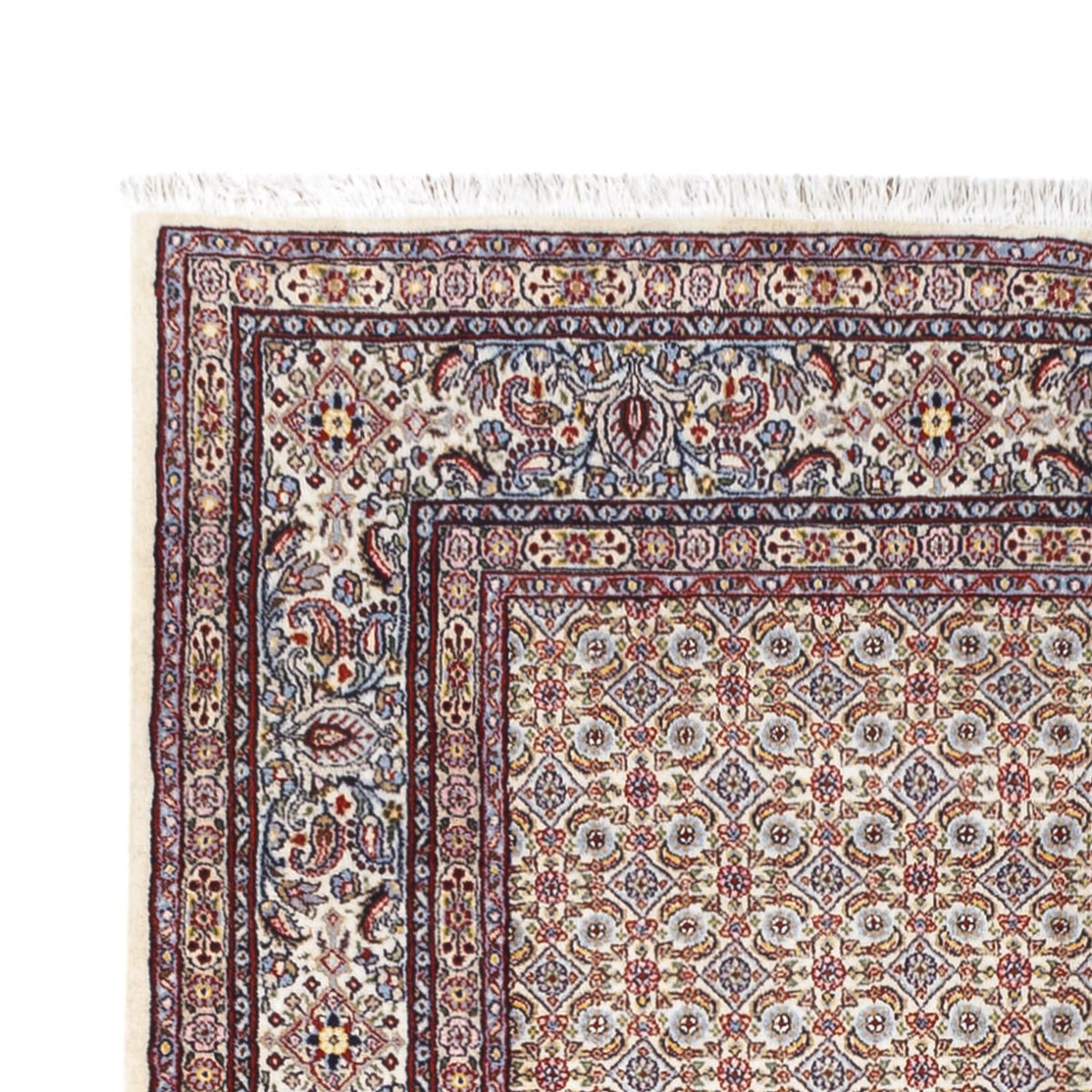 Moud Tapijt 164x238cm - Perzisch tapijt