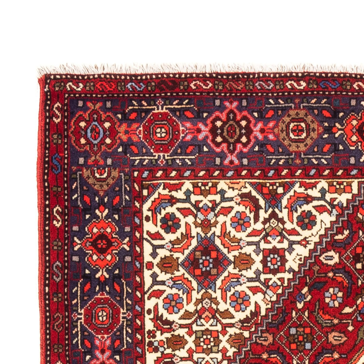 Gholtogh Tapijt 155x100cm - Perzisch tapijt