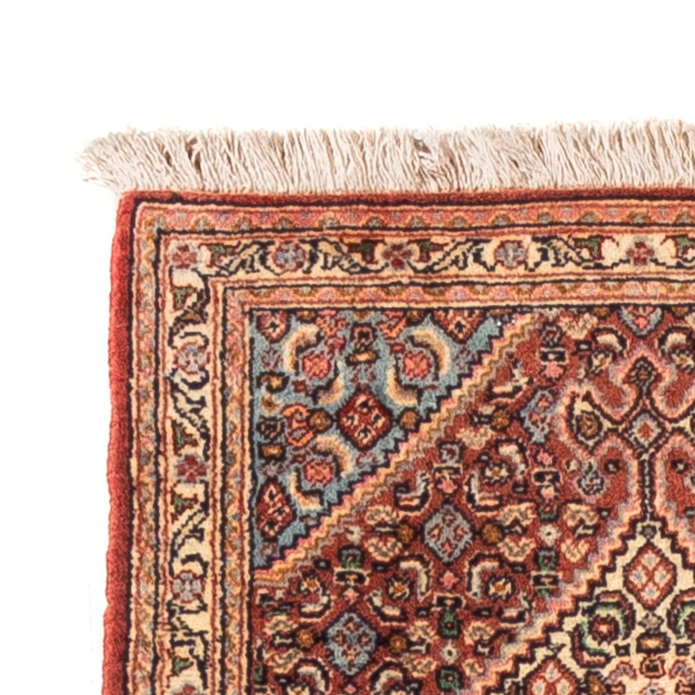 Senneh Tapijt 252x52cm - Perzisch tapijt