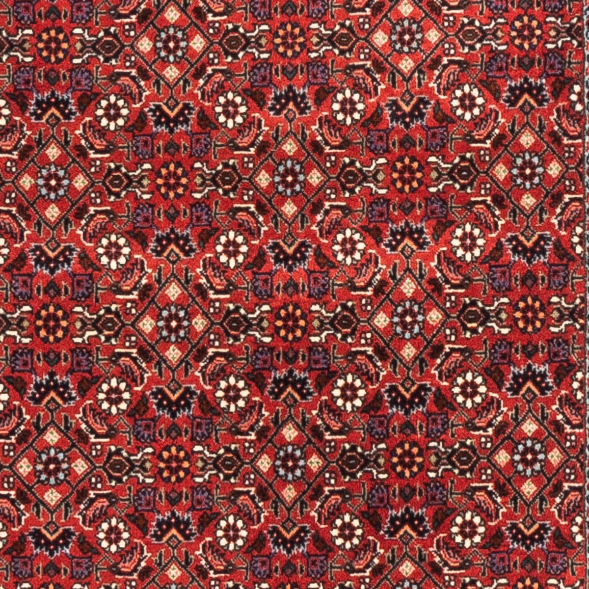 Loper Perzisch tapijt - Bijar - 192 x 75 cm - rood