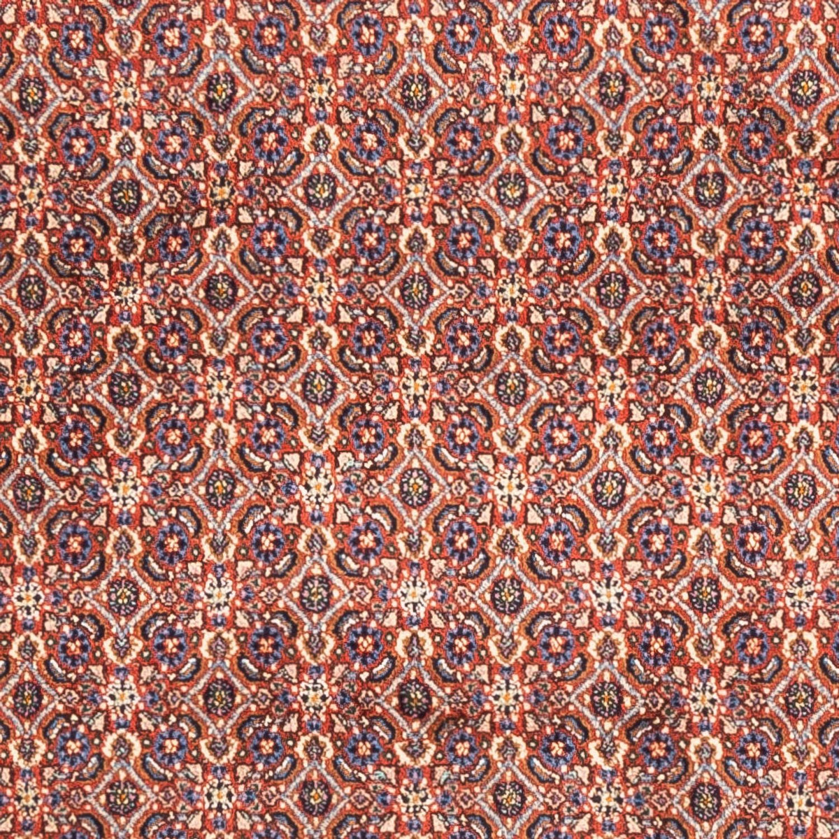 Perzisch tapijt - Klassiek - 247 x 202 cm - licht rood