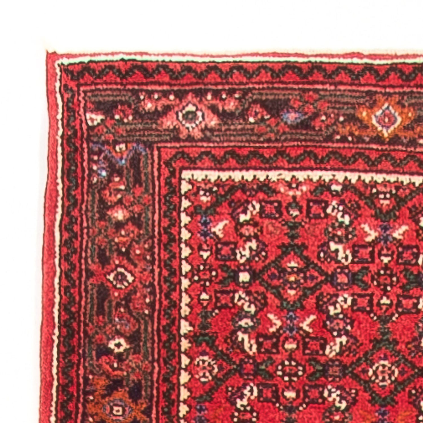 Hamadan Tapijt 600x80cm - Perzisch tapijt