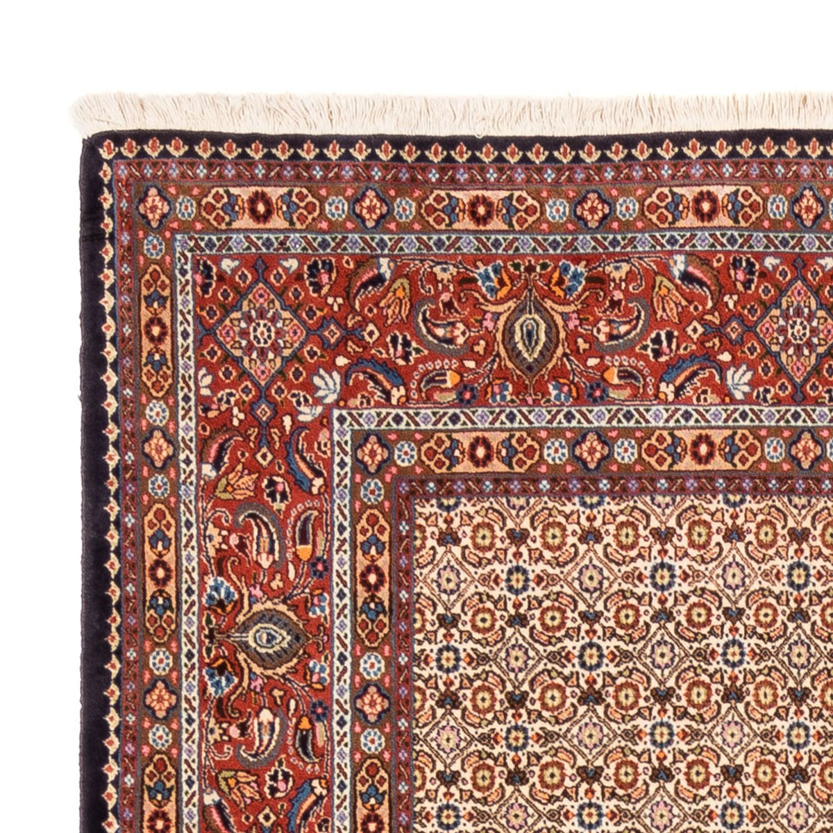 Perzisch tapijt - Klassiek - 250 x 195 cm - donker beige