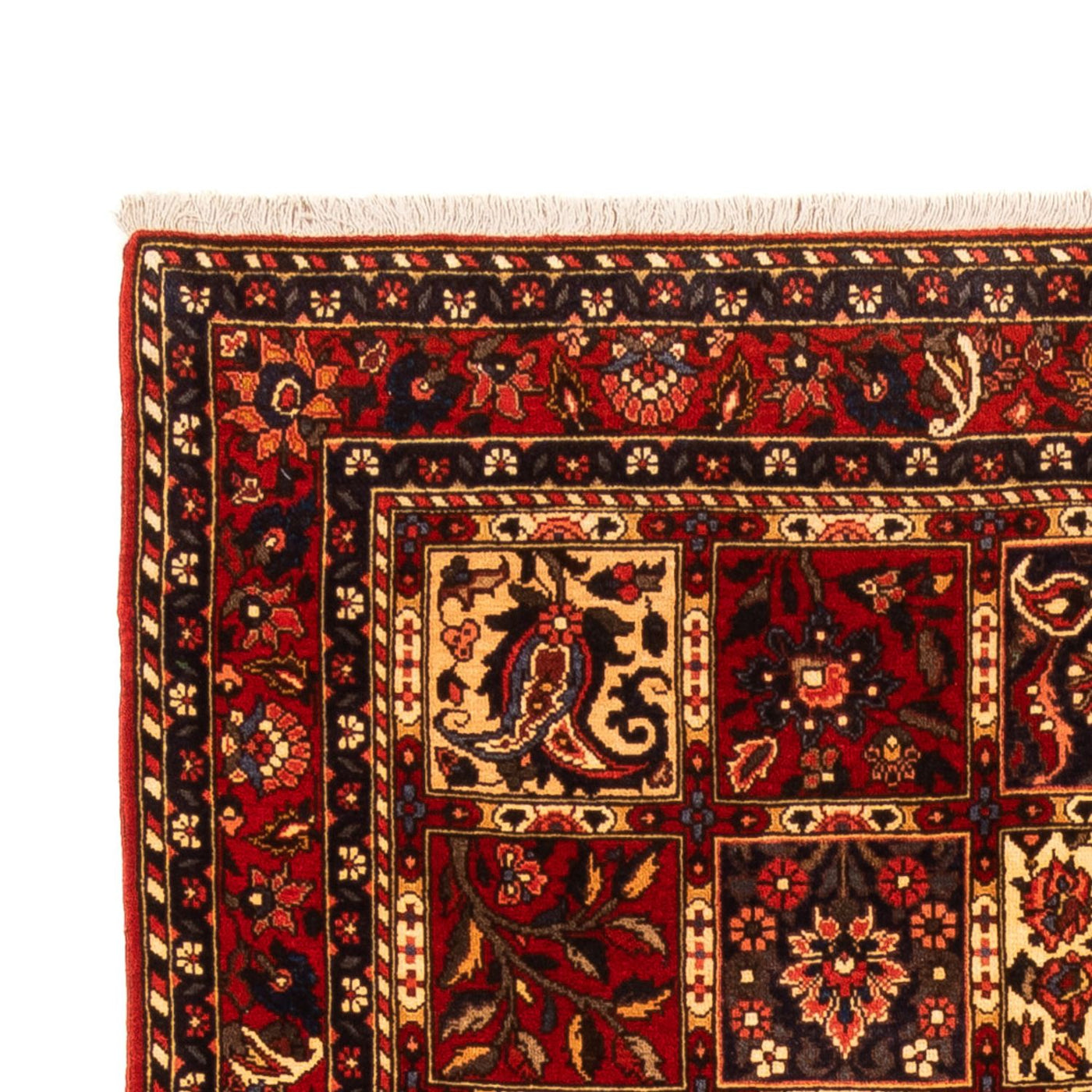 Bakhtiari Tapijt 243x150cm - Perzisch tapijt