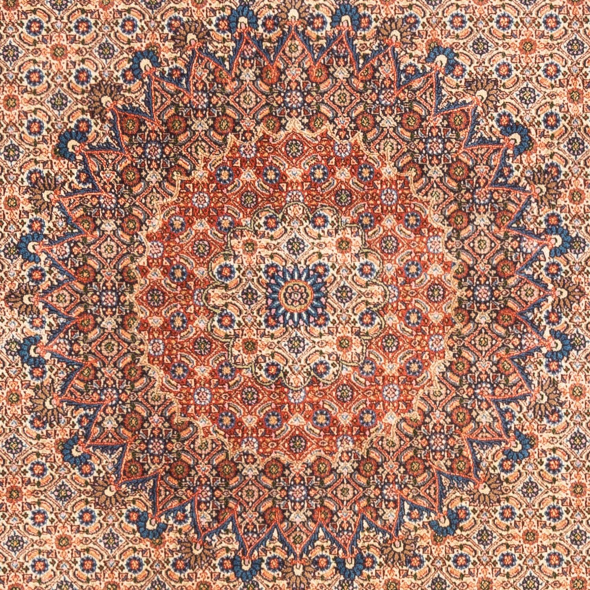 Perzisch tapijt - Klassiek - 244 x 194 cm - donker beige