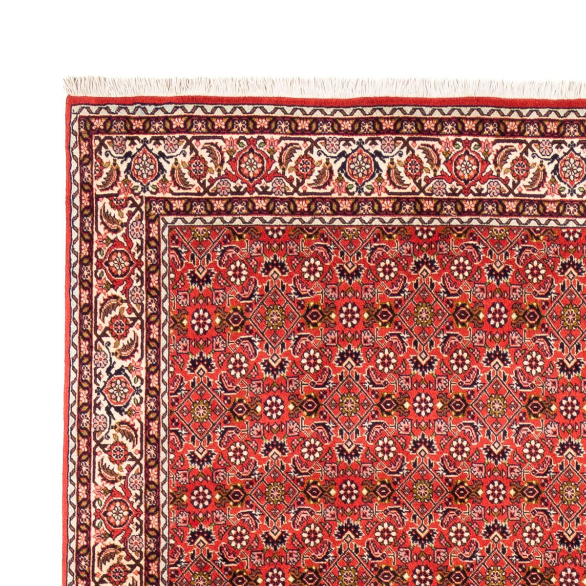 Perzisch tapijt - Bijar - Koninklijk - 242 x 168 cm - rood