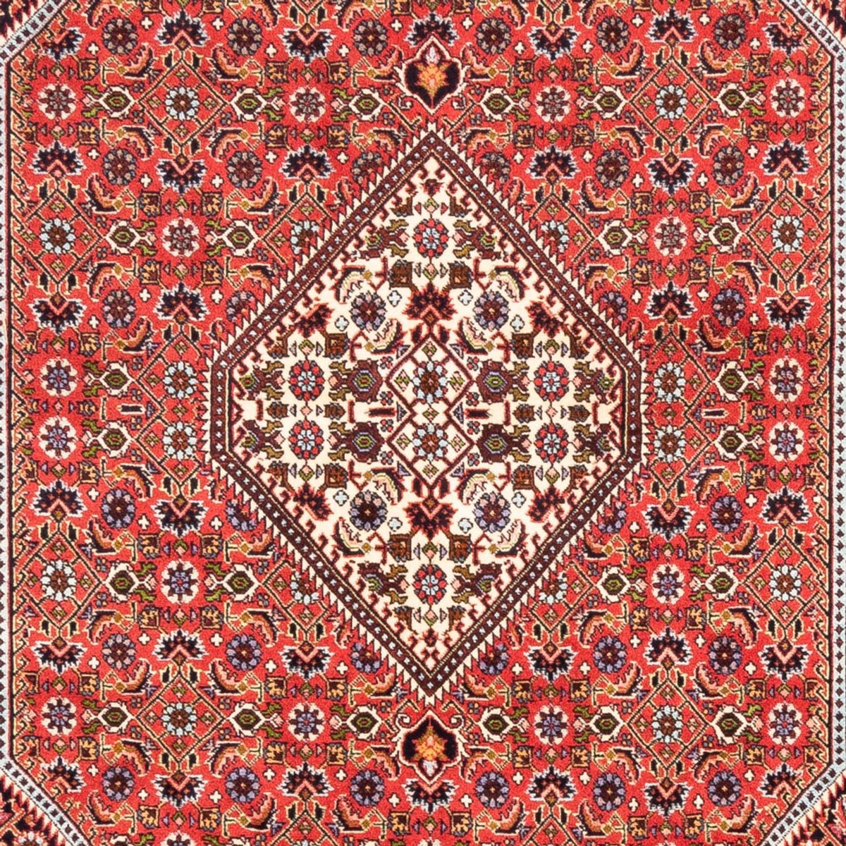 Perzisch tapijt - Bijar - Koninklijk - 247 x 168 cm - rood