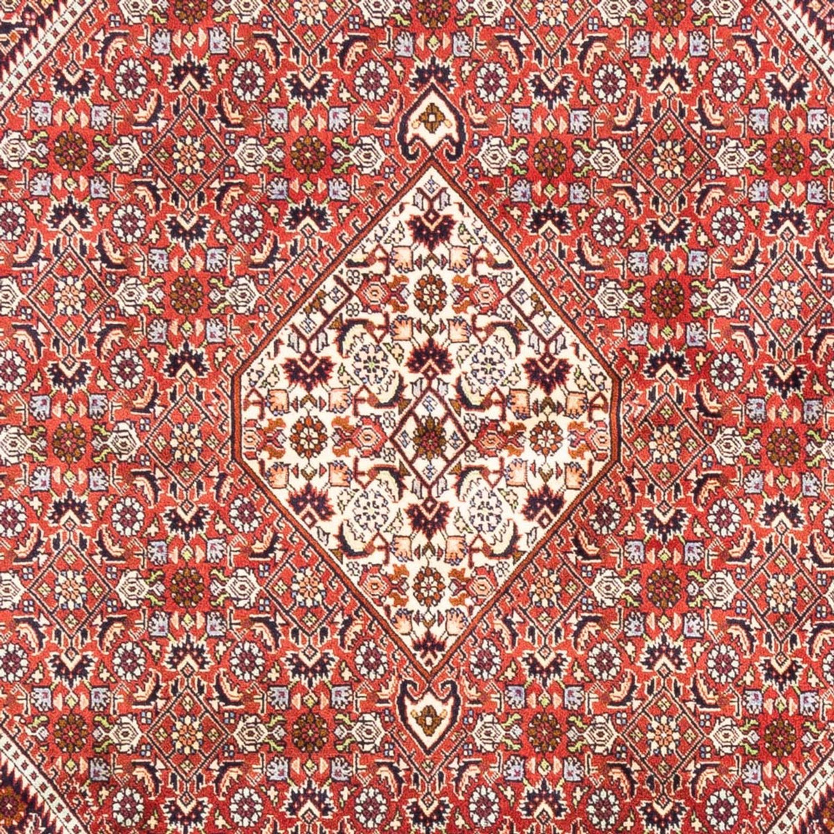 Perzisch tapijt - Bijar - Koninklijk - 240 x 168 cm - rood
