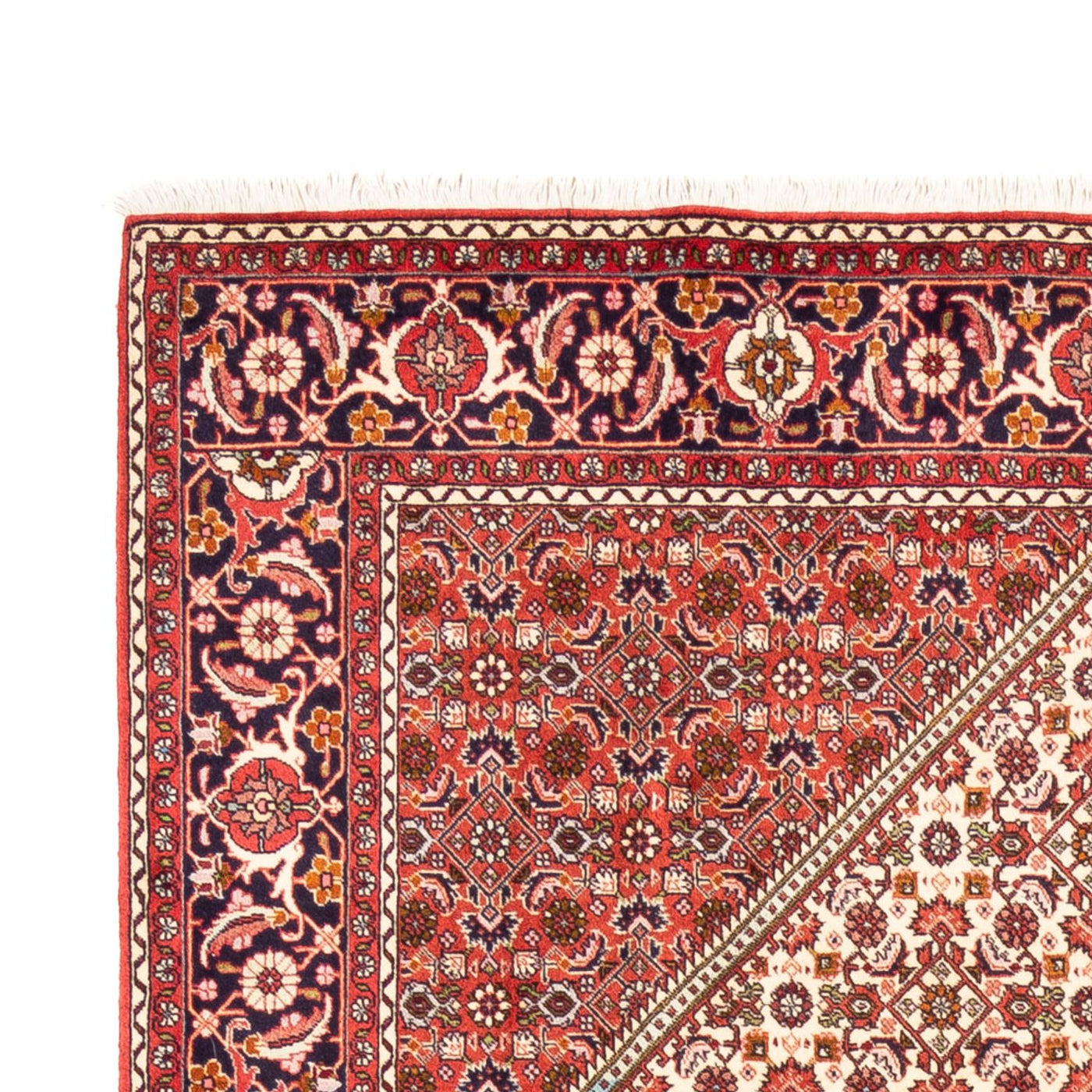 Perzisch tapijt - Bijar - Koninklijk - 249 x 170 cm - beige