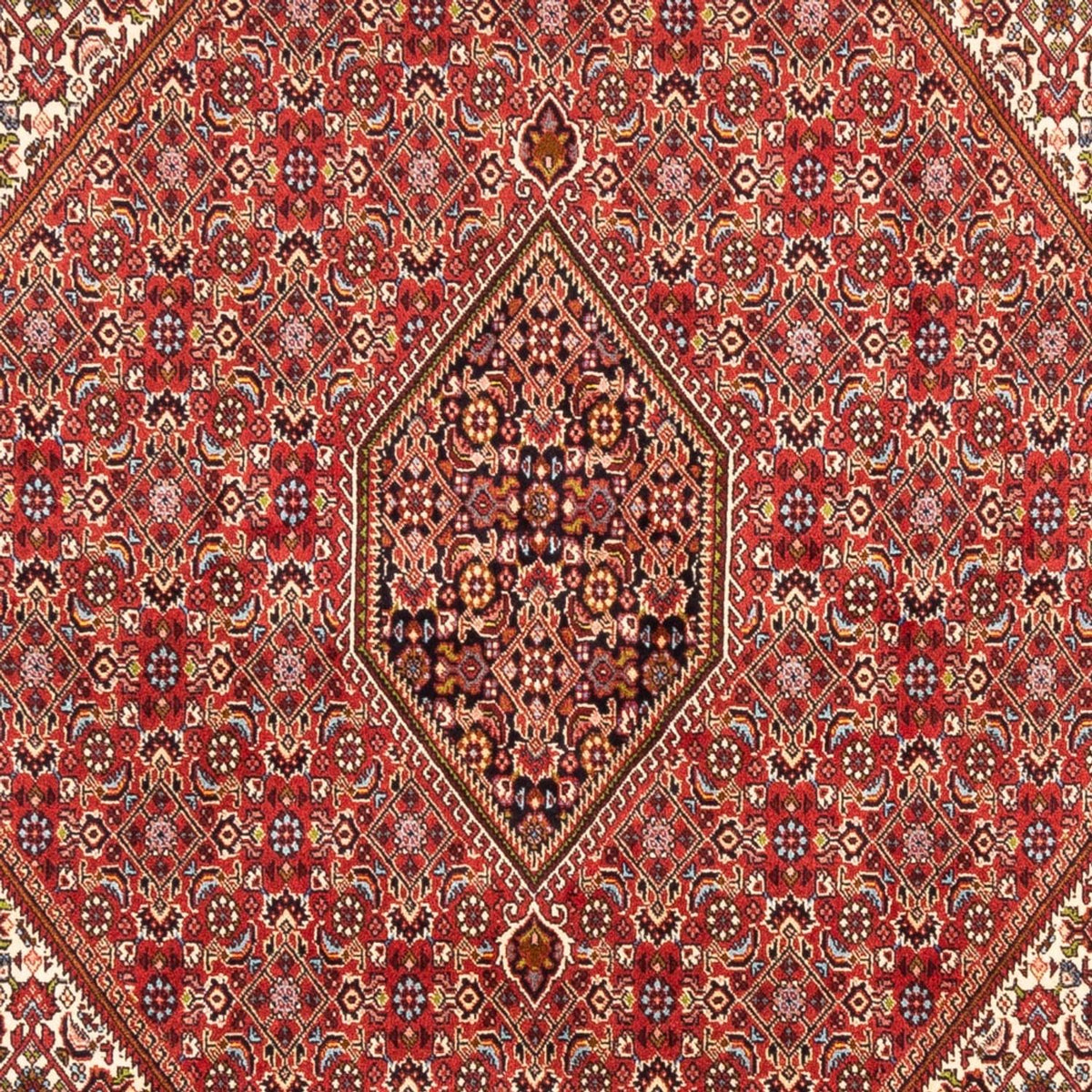 Perzisch tapijt - Bijar - Koninklijk - 247 x 172 cm - rood