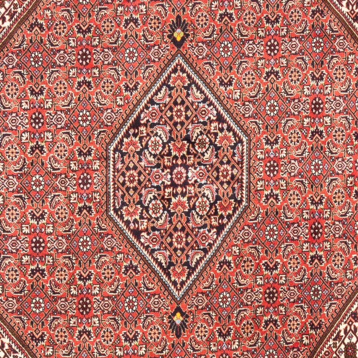 Perzisch tapijt - Bijar - Koninklijk - 247 x 173 cm - rood
