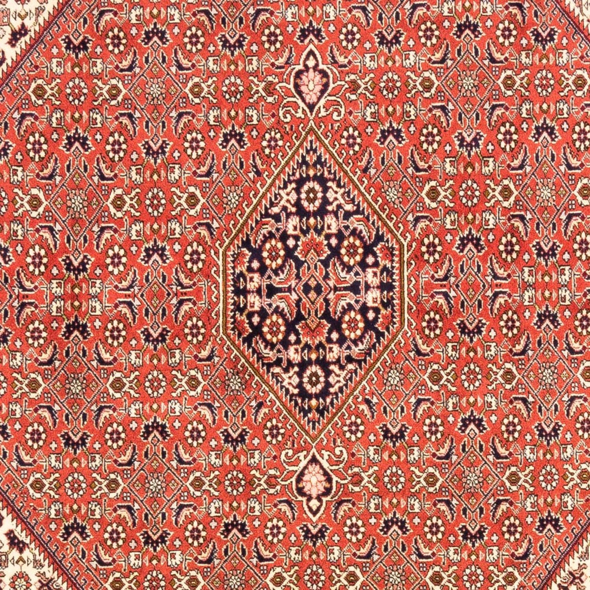Perzisch tapijt - Bijar - Koninklijk - 238 x 171 cm - rood