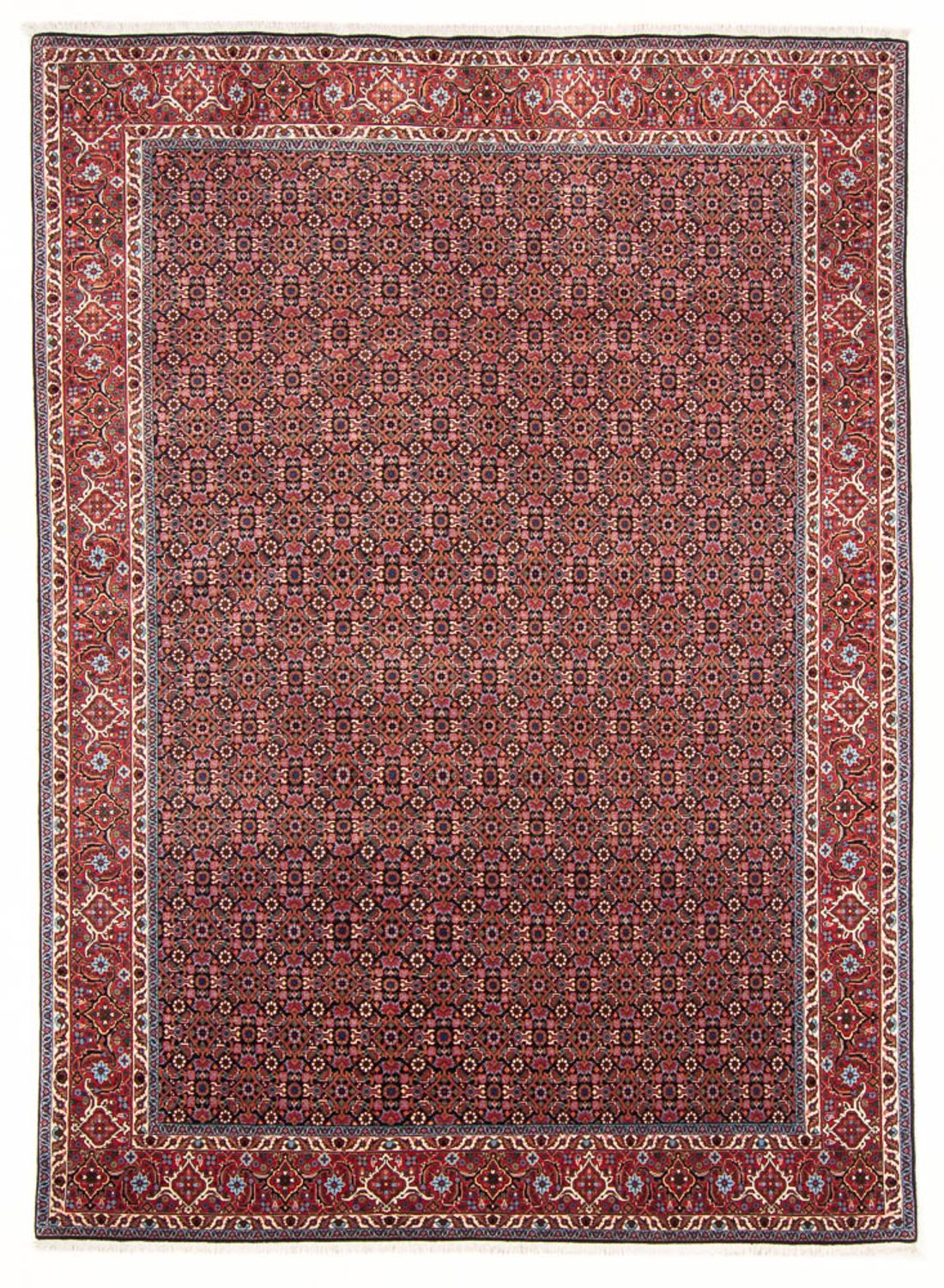 Perzisch tapijt - Klassiek - 293 x 190 cm - donkerblauw