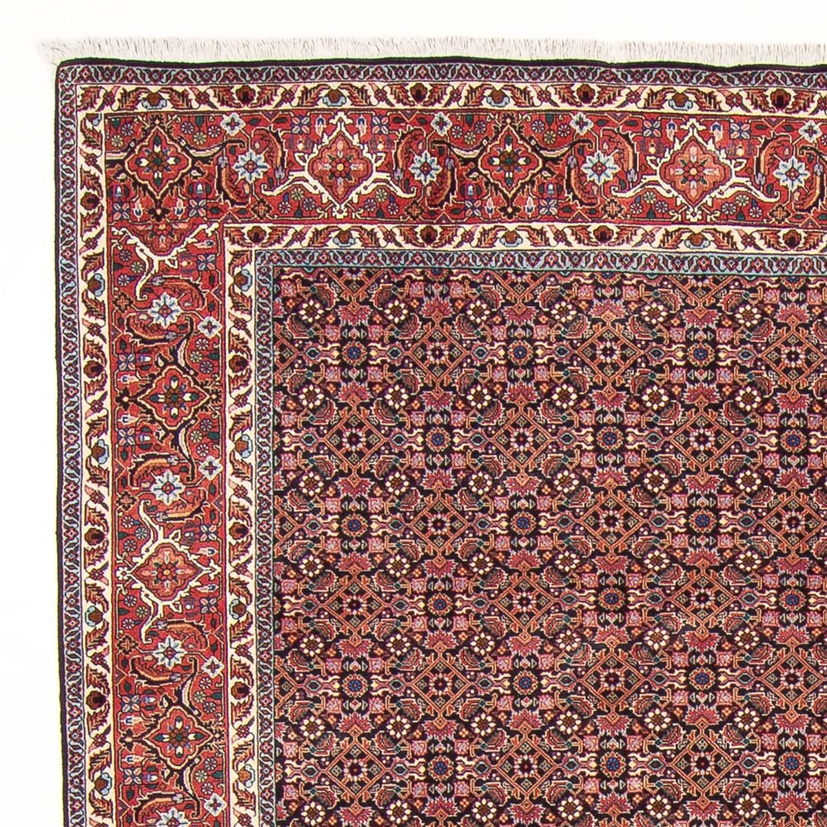 Perzisch tapijt - Klassiek - 293 x 190 cm - donkerblauw