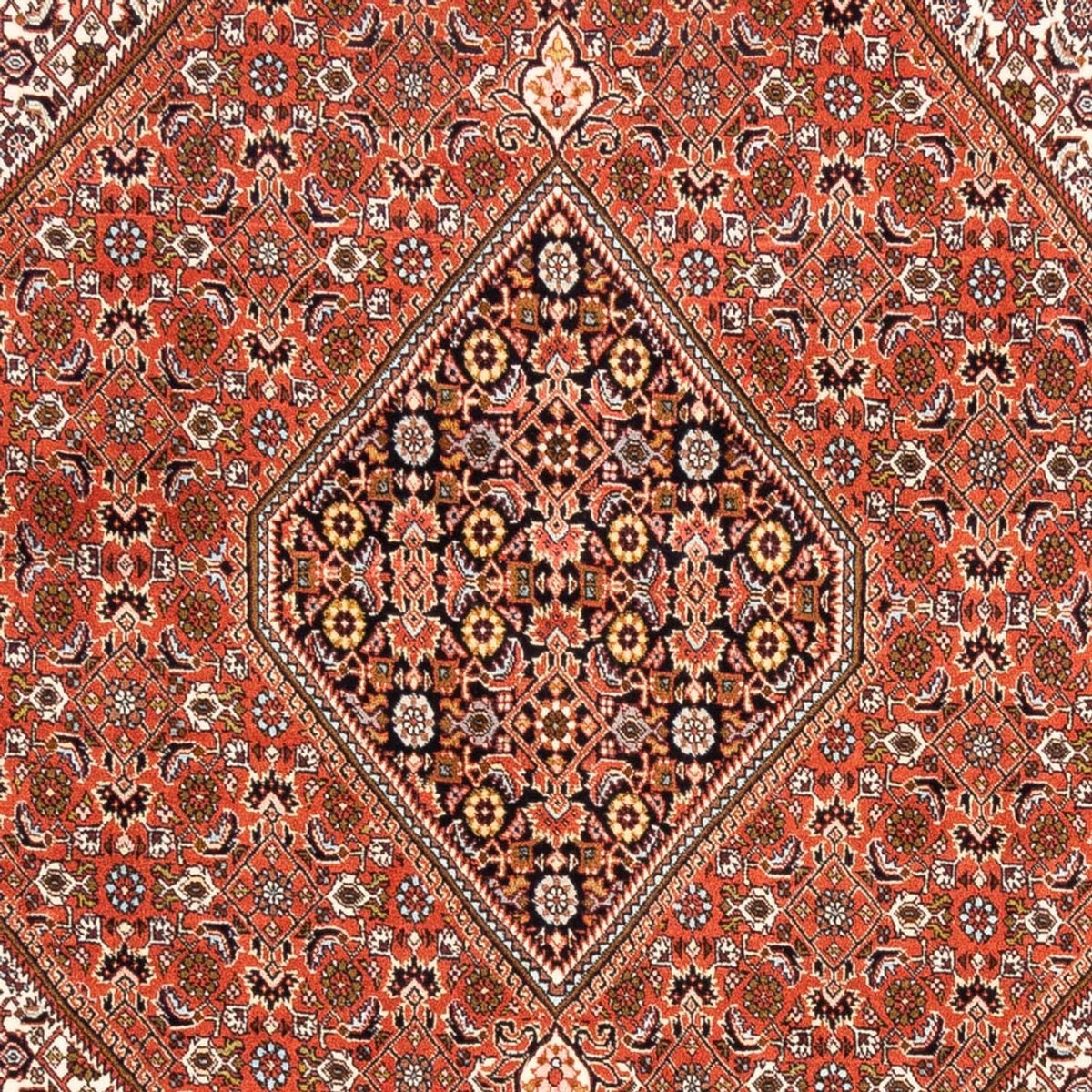 Perzisch tapijt - Bijar - 250 x 172 cm - rood