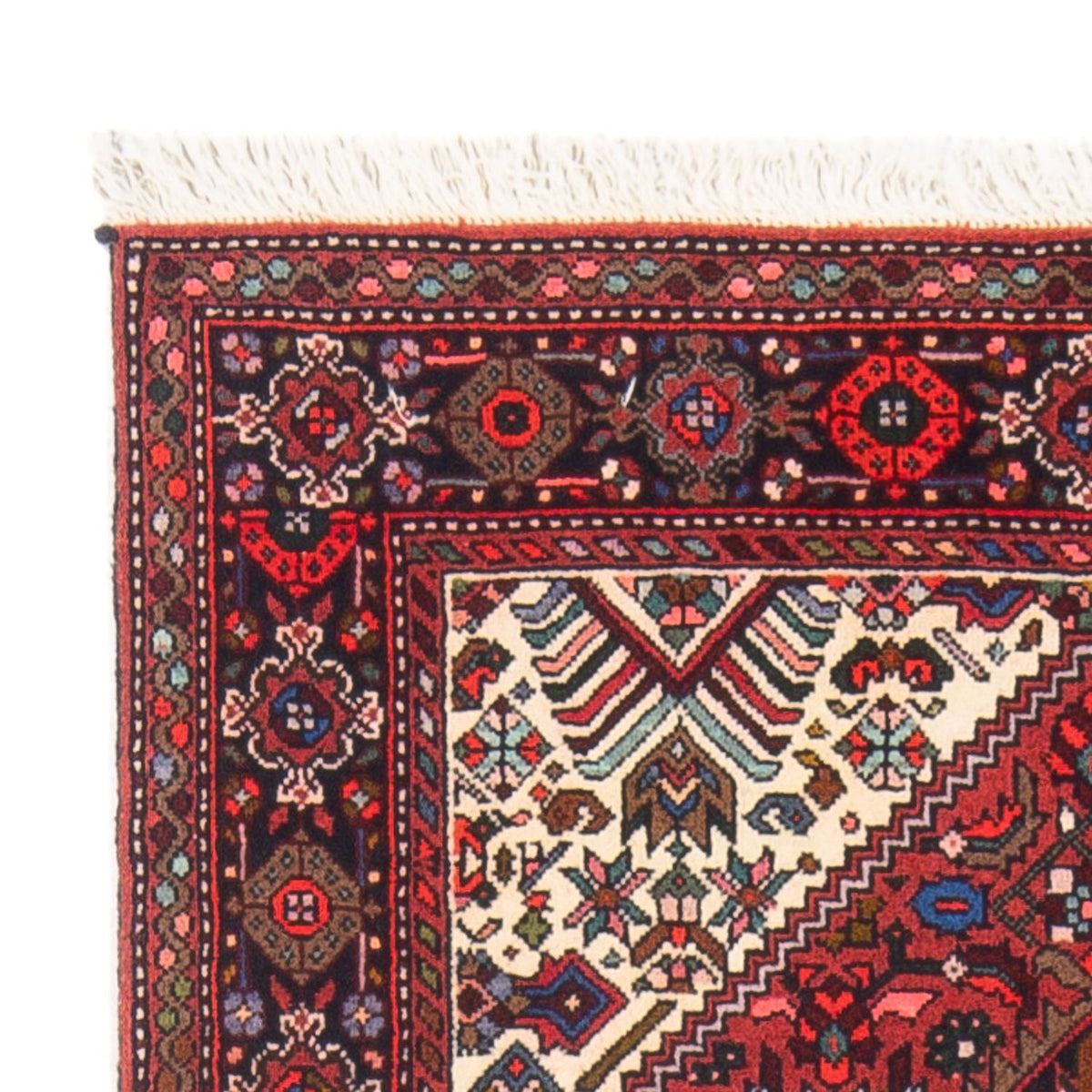 Gholtogh Tapijt 73x119cm - Perzisch tapijt