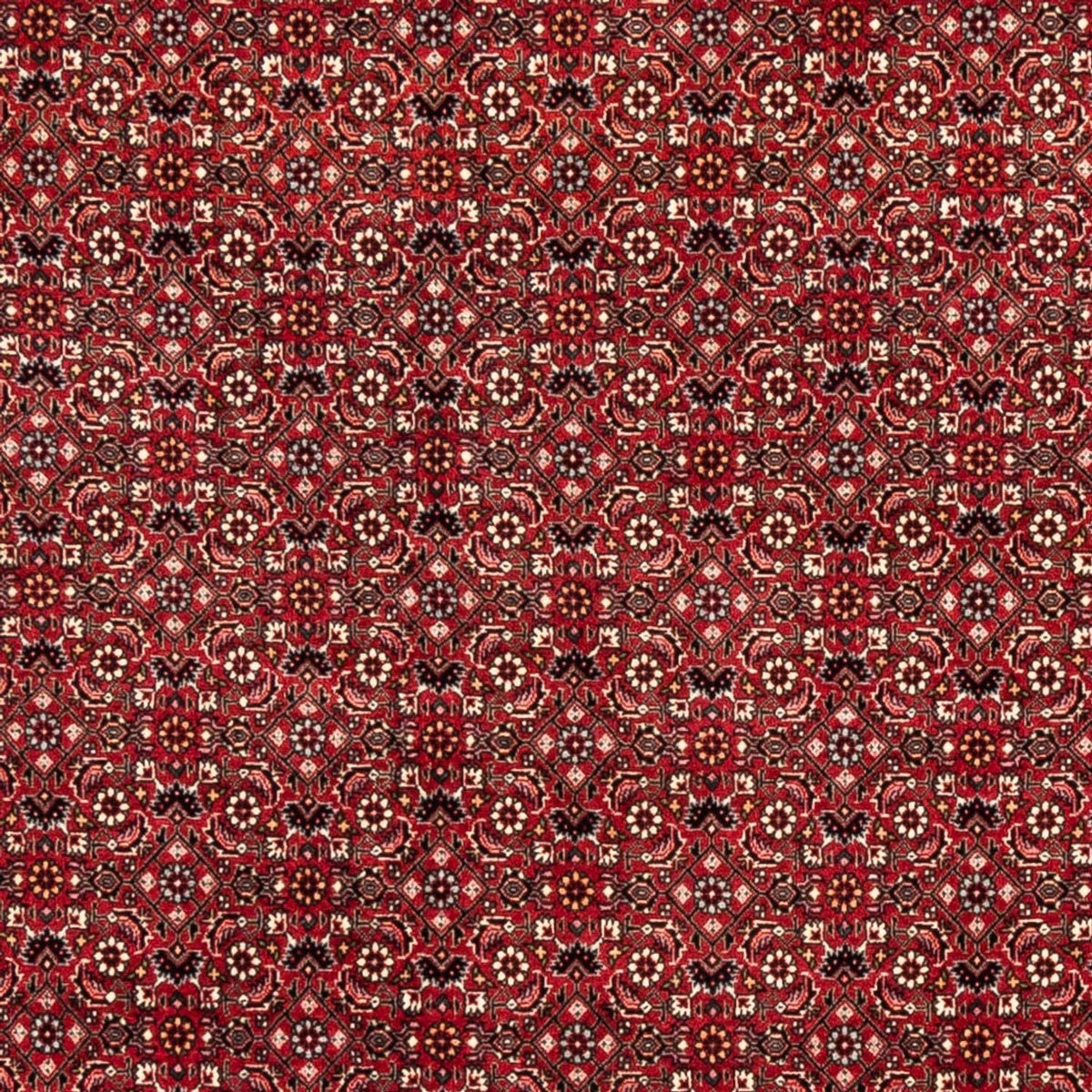 Perzisch tapijt - Bijar - 238 x 178 cm - rood