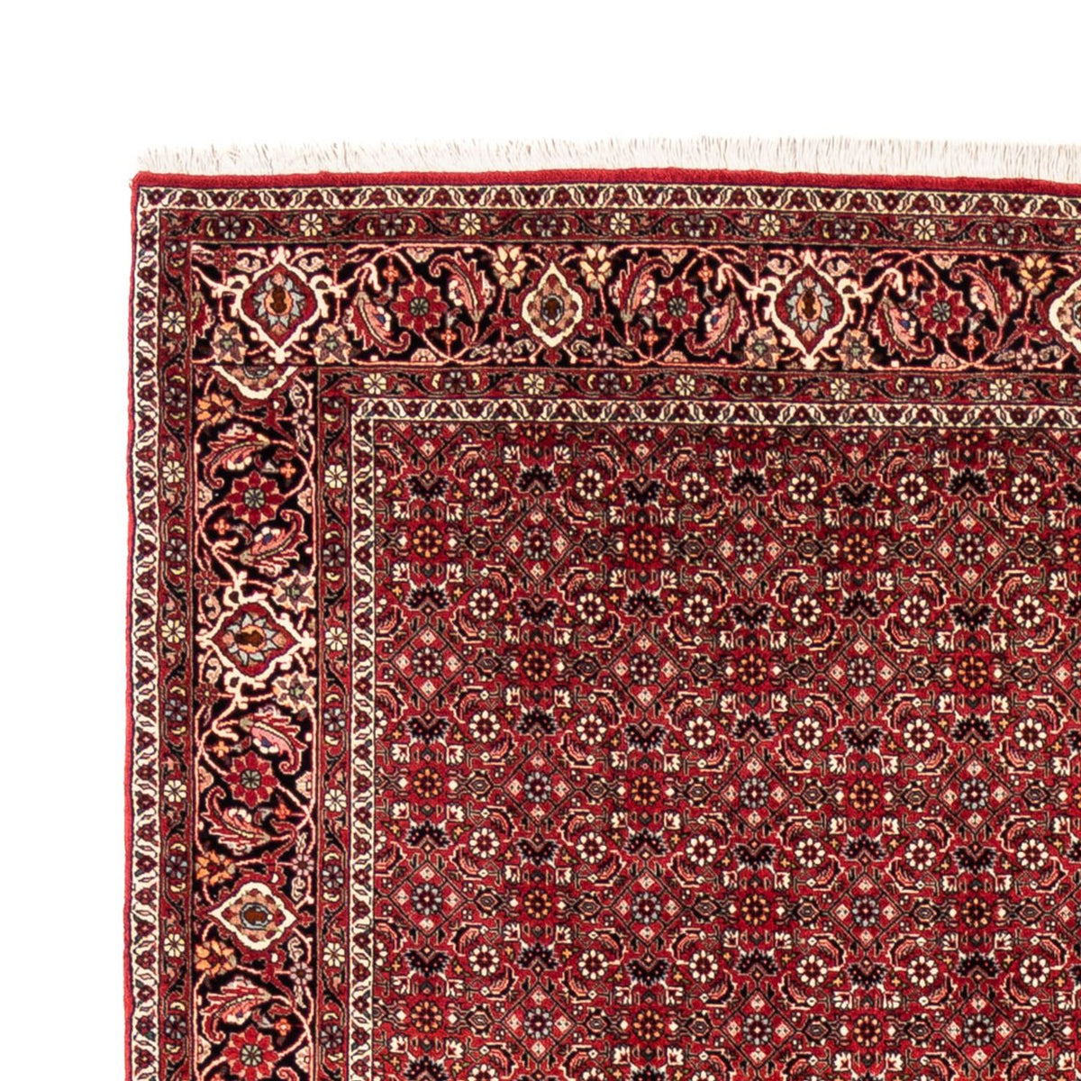 Perzisch tapijt - Bijar - 238 x 178 cm - rood