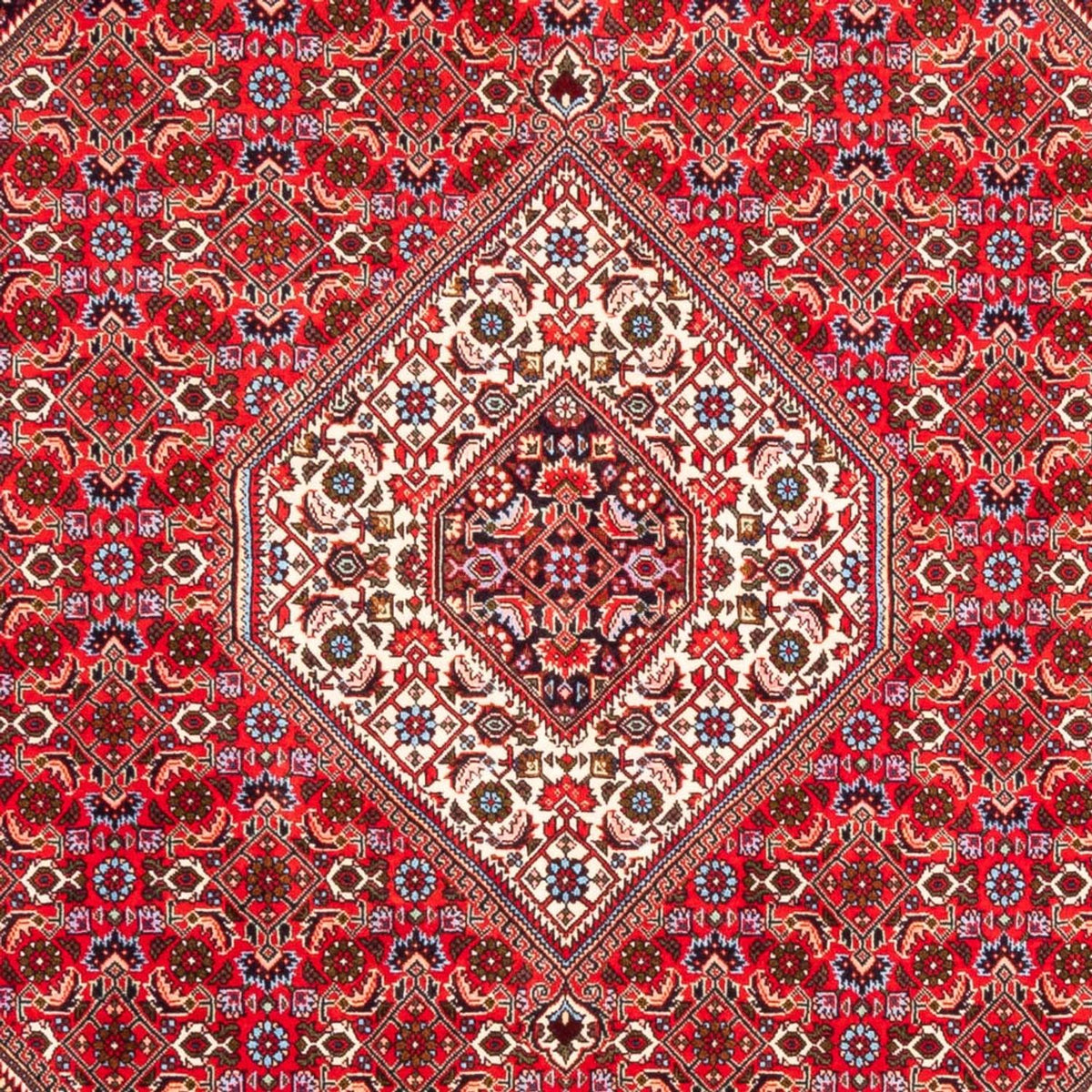 Perzisch tapijt - Bijar - 253 x 170 cm - rood