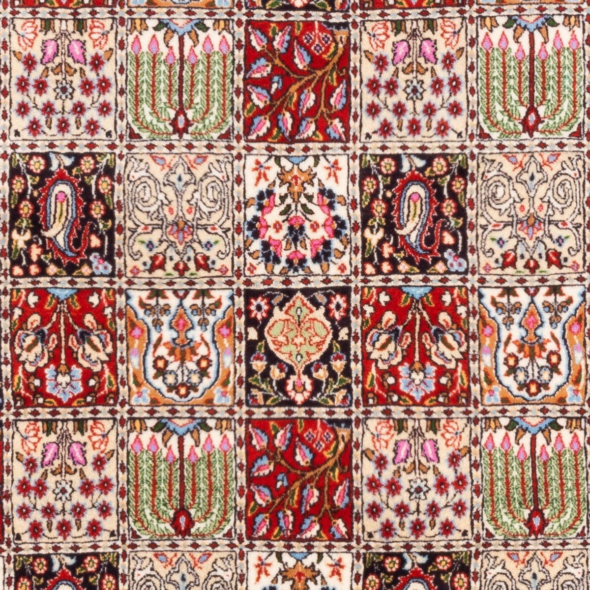 Perzisch tapijt - Klassiek - 244 x 165 cm - veelkleurig