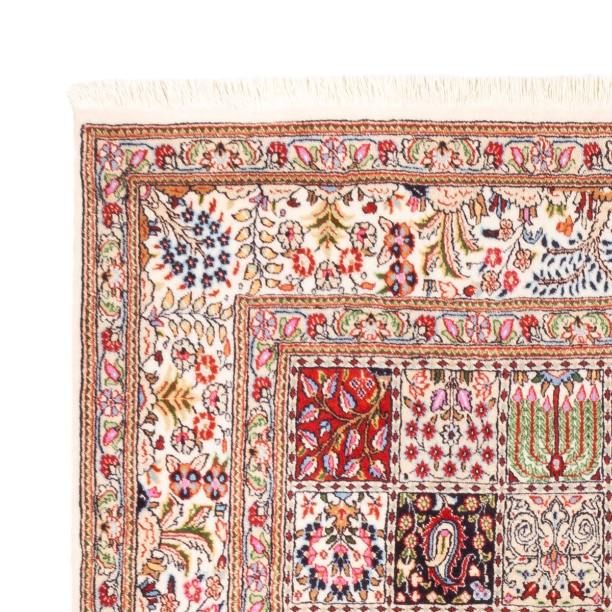 Perzisch tapijt - Klassiek - 244 x 165 cm - veelkleurig