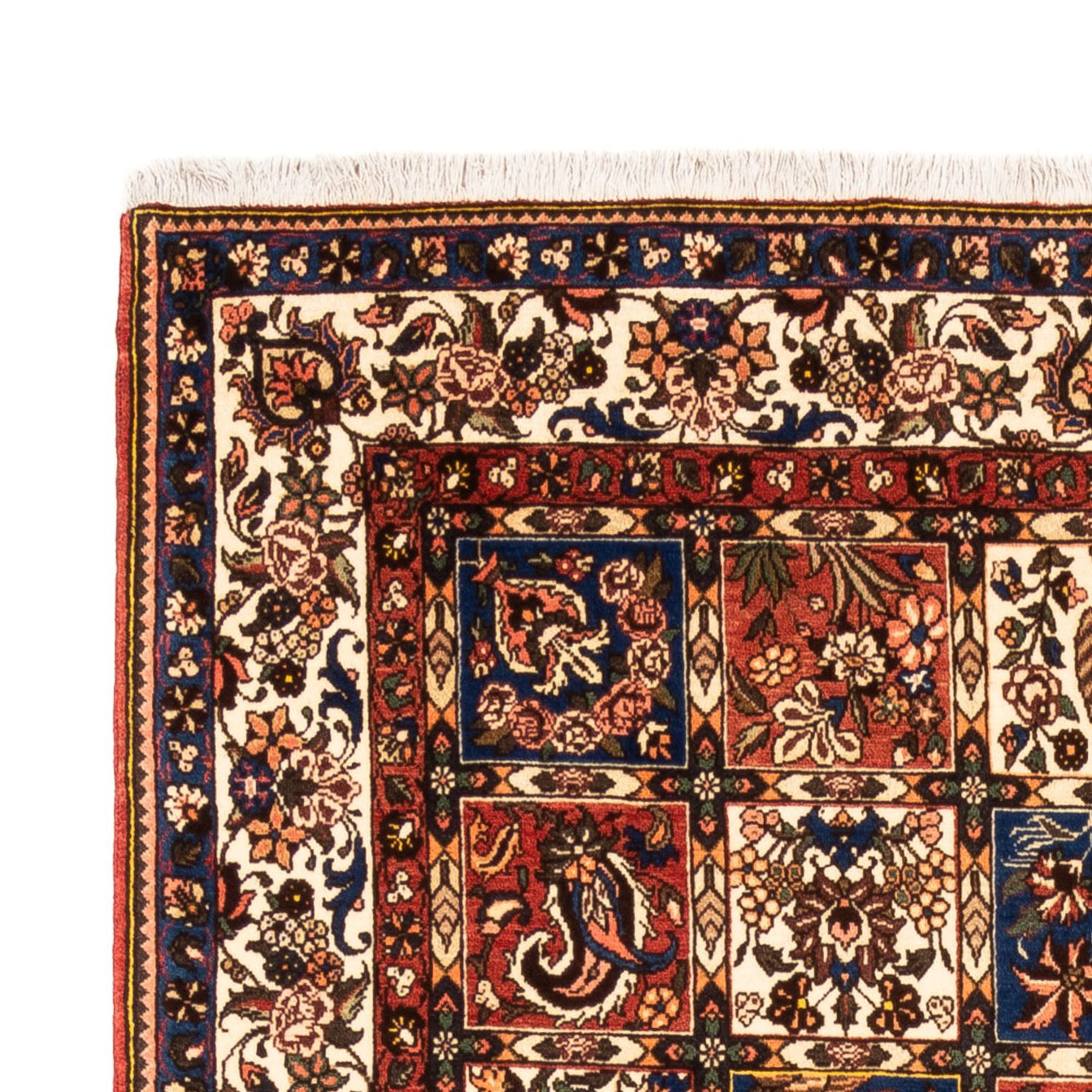 Perzisch Tapijt - Nomadisch - 240 x 158 cm - veelkleurig
