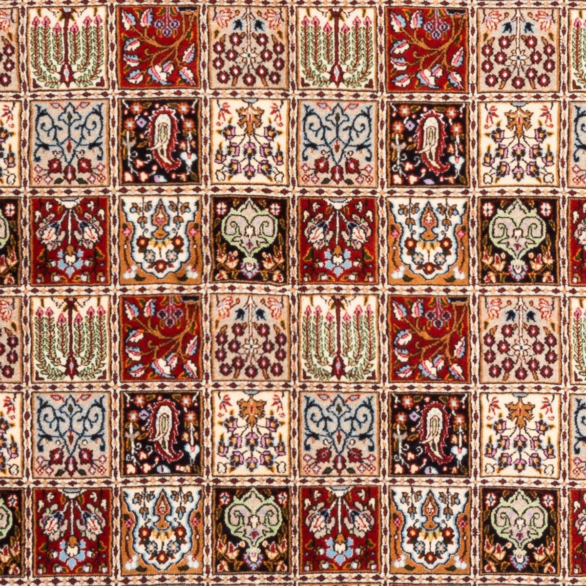 Perzisch tapijt - Klassiek - 240 x 169 cm - veelkleurig