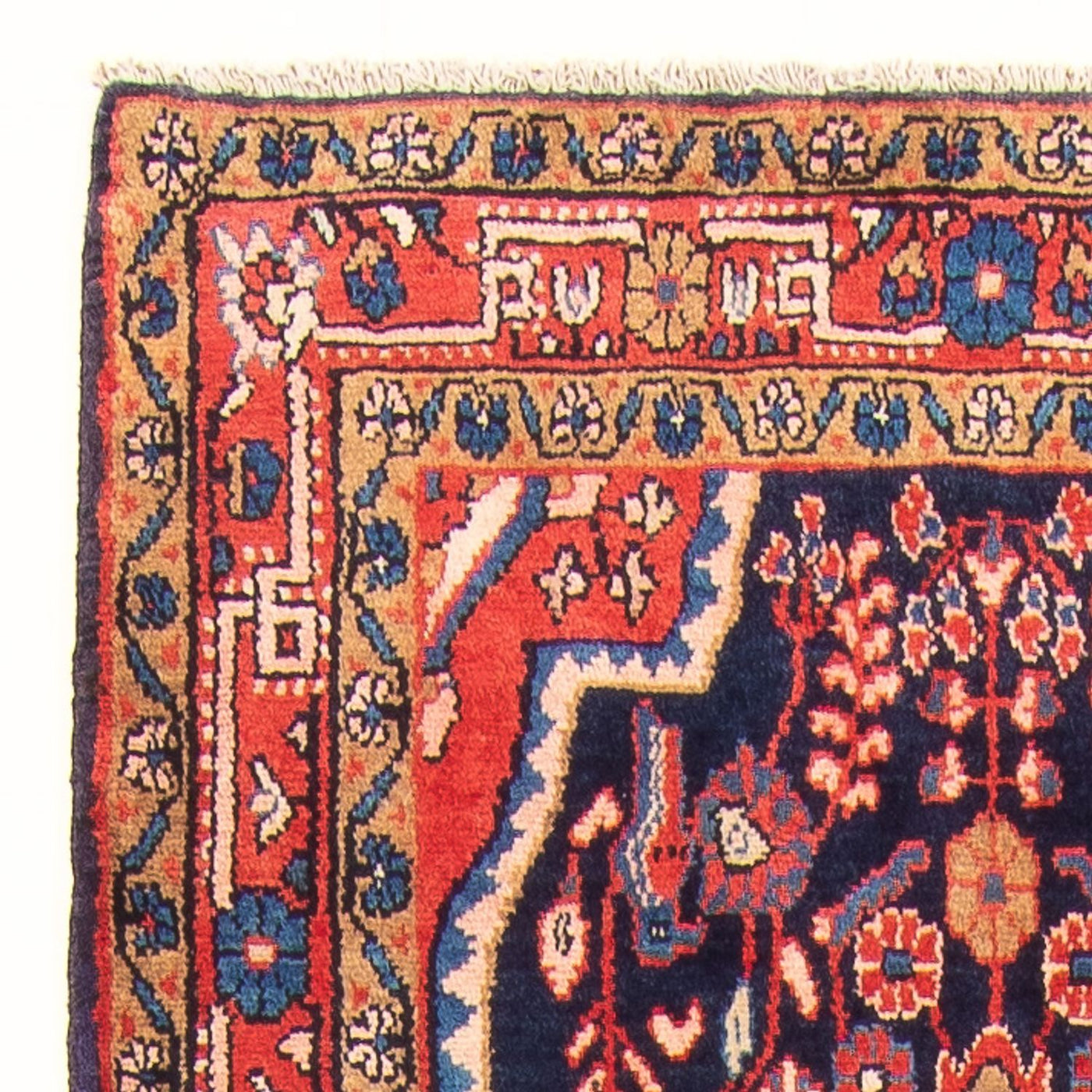 Kolyai Tapijt 313x111cm - Perzisch tapijt