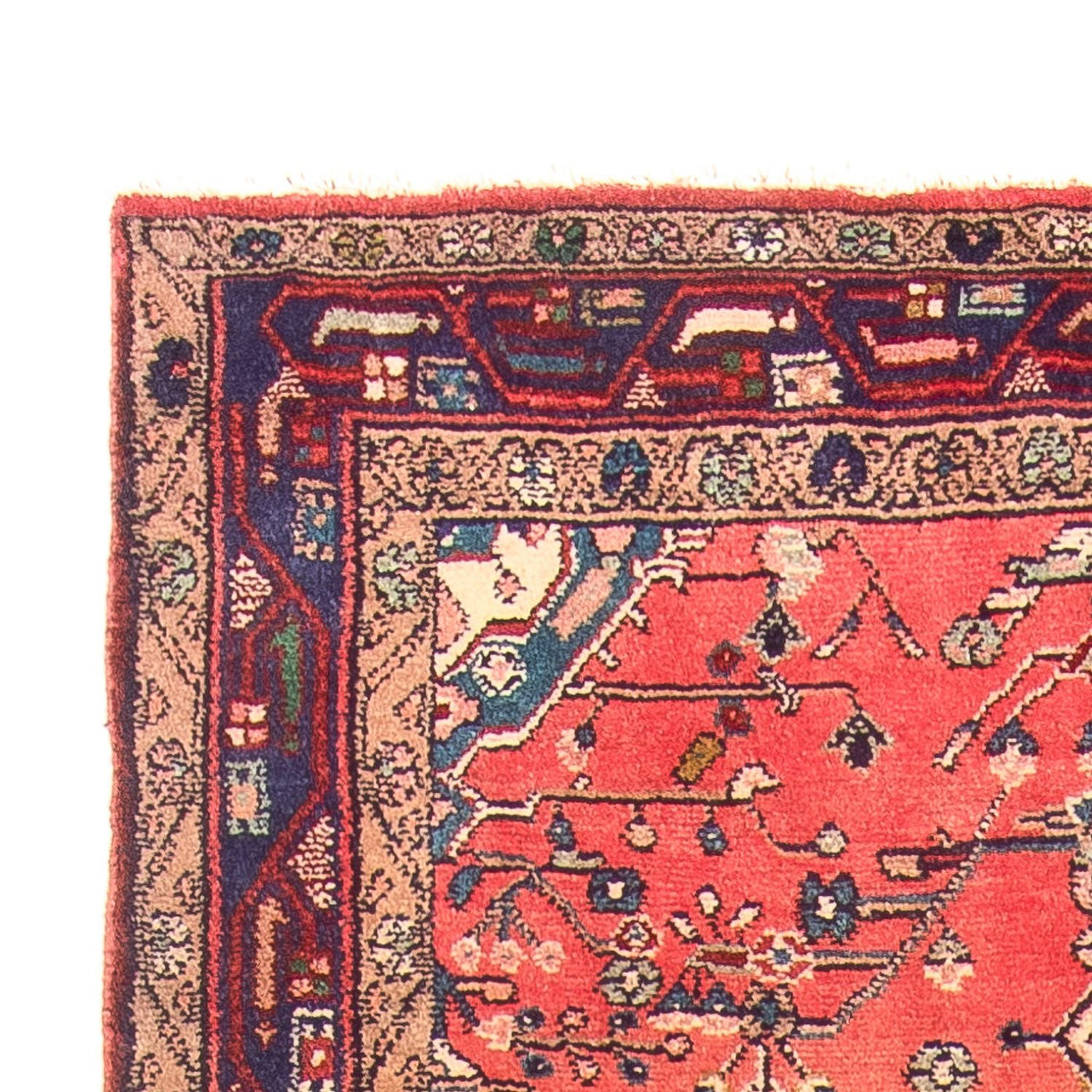 Kolyai Tapijt 311x126cm - Perzisch tapijt